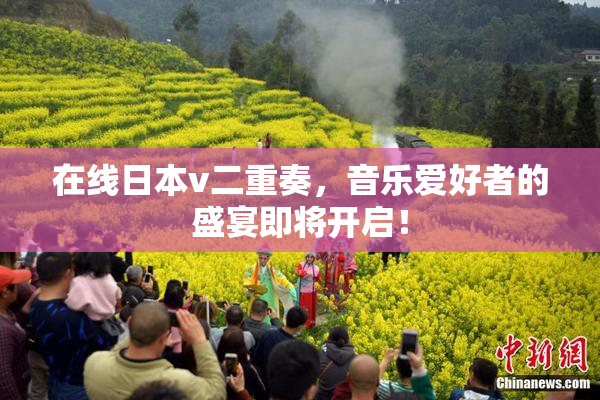 在线日本v二重奏，音乐爱好者的盛宴即将开启！