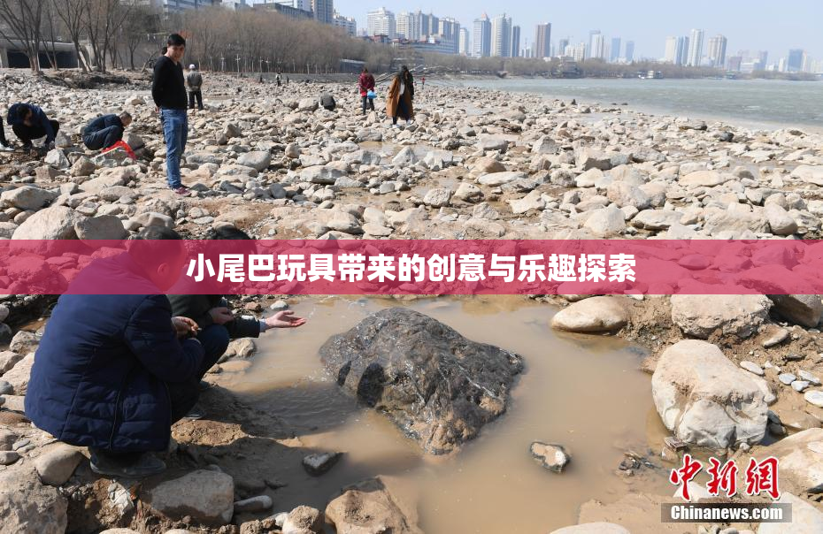 小尾巴玩具带来的创意与乐趣探索