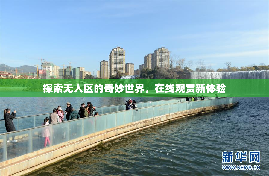 探索无人区的奇妙世界，在线观赏新体验