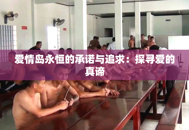 爱情岛永恒的承诺与追求：探寻爱的真谛