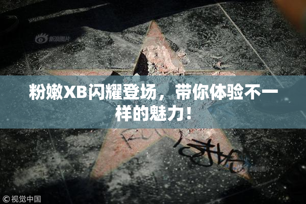 粉嫩XB闪耀登场，带你体验不一样的魅力！