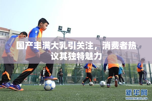国产丰满大乳引关注，消费者热议其独特魅力