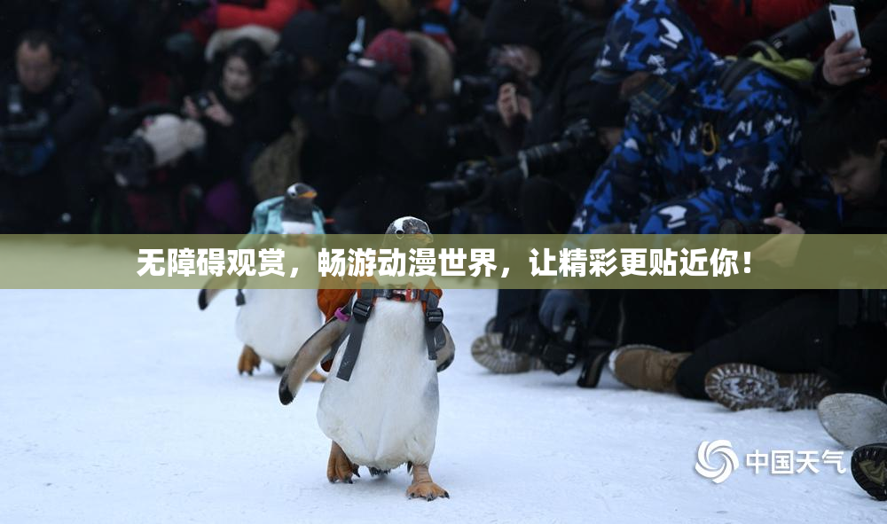 无障碍观赏，畅游动漫世界，让精彩更贴近你！
