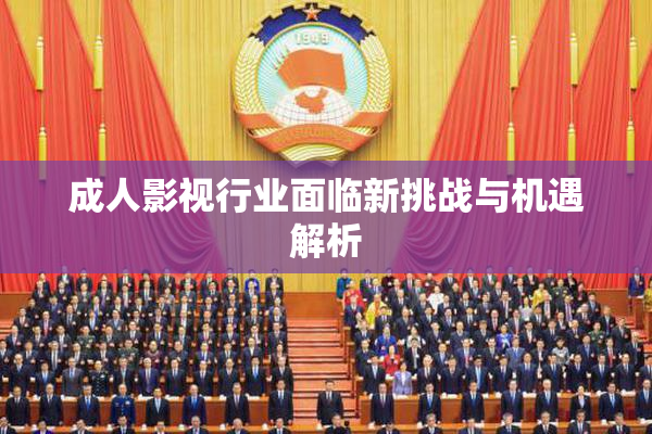 成人影视行业面临新挑战与机遇解析