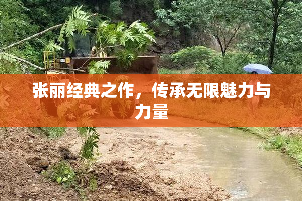 张丽经典之作，传承无限魅力与力量