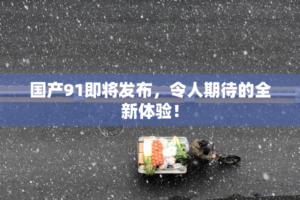 国产91即将发布，令人期待的全新体验！