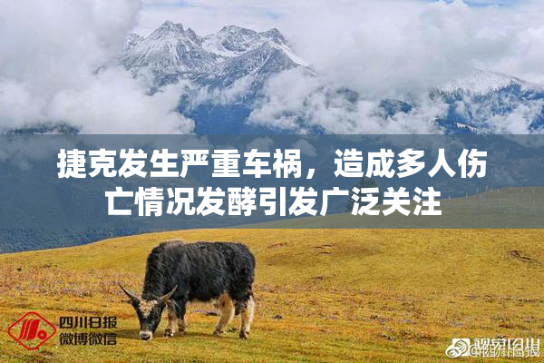 捷克发生严重车祸，造成多人伤亡情况发酵引发广泛关注