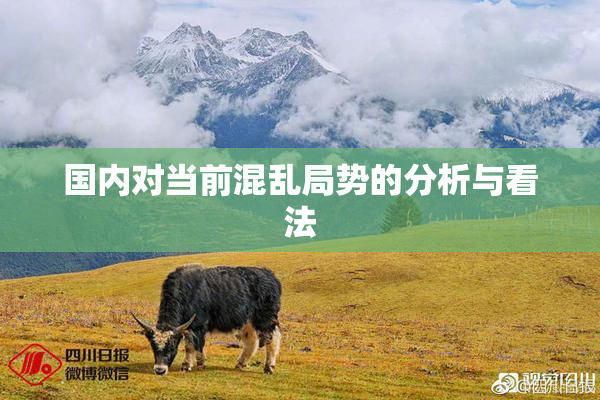 国内对当前混乱局势的分析与看法