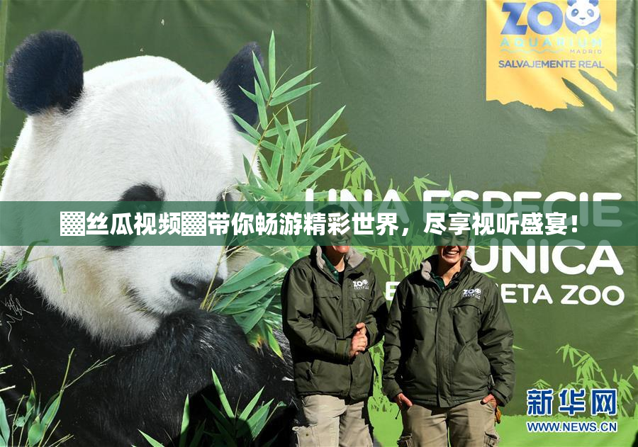▓丝瓜视频▓带你畅游精彩世界，尽享视听盛宴！