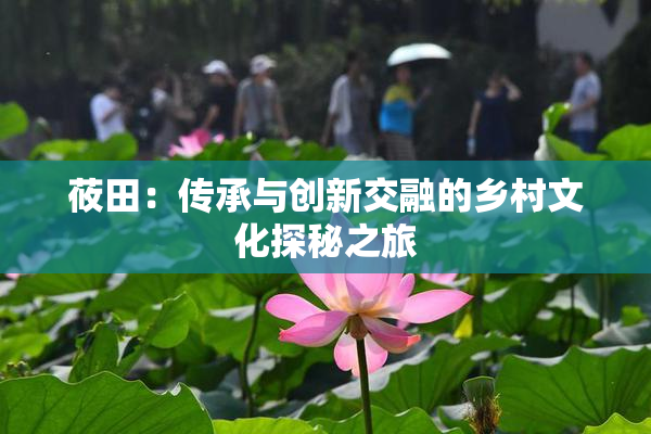 莜田：传承与创新交融的乡村文化探秘之旅