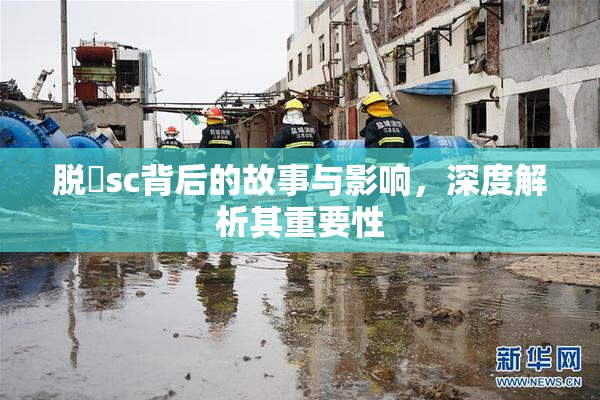 脱糞sc背后的故事与影响，深度解析其重要性