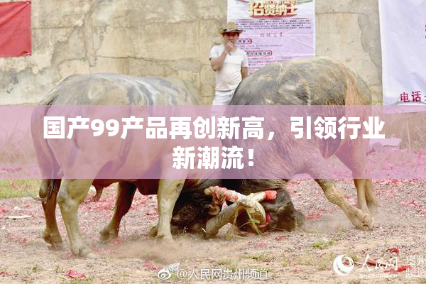 国产99产品再创新高，引领行业新潮流！