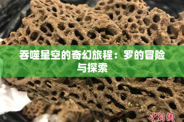 吞噬星空的奇幻旅程：罗的冒险与探索
