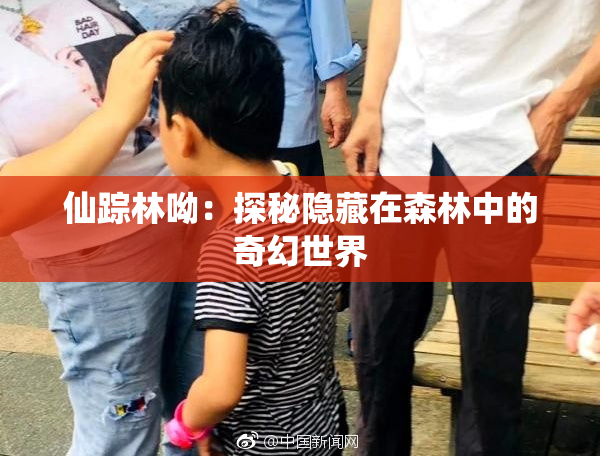 仙踪林呦：探秘隐藏在森林中的奇幻世界