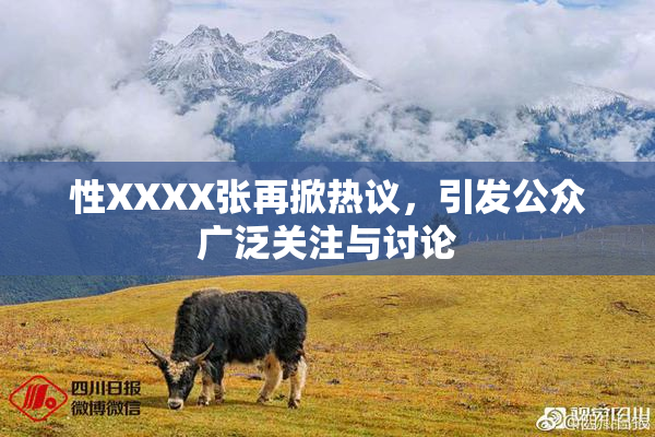 性XXXX张再掀热议，引发公众广泛关注与讨论