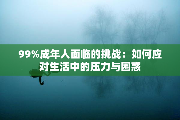 99%成年人面临的挑战：如何应对生活中的压力与困惑