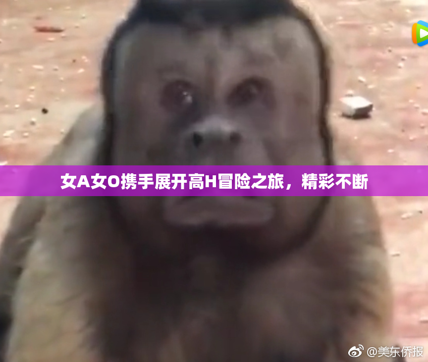 女A女O携手展开高H冒险之旅，精彩不断
