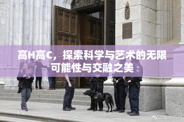 高H高C，探索科学与艺术的无限可能性与交融之美