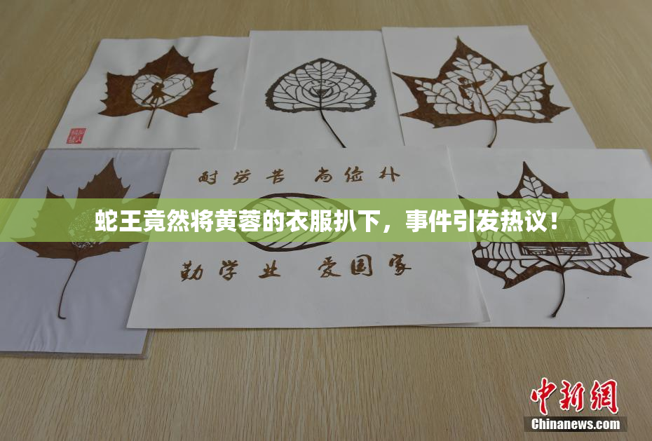 蛇王竟然将黄蓉的衣服扒下，事件引发热议！