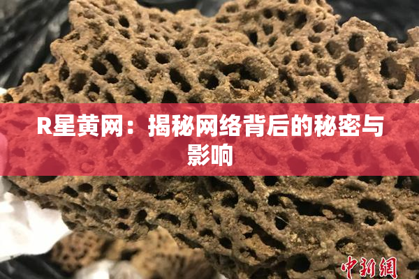 R星黄网：揭秘网络背后的秘密与影响