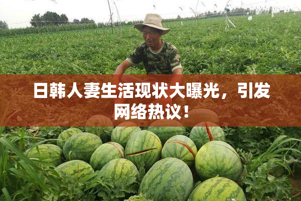 日韩人妻生活现状大曝光，引发网络热议！