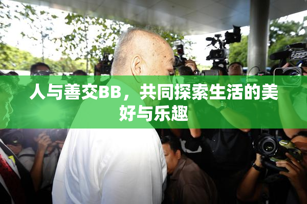 人与善交BB，共同探索生活的美好与乐趣