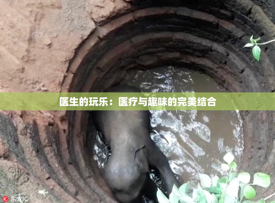 医生的玩乐：医疗与趣味的完美结合