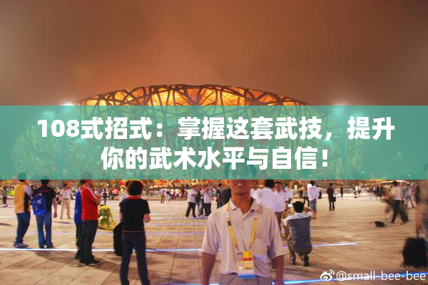108式招式：掌握这套武技，提升你的武术水平与自信！