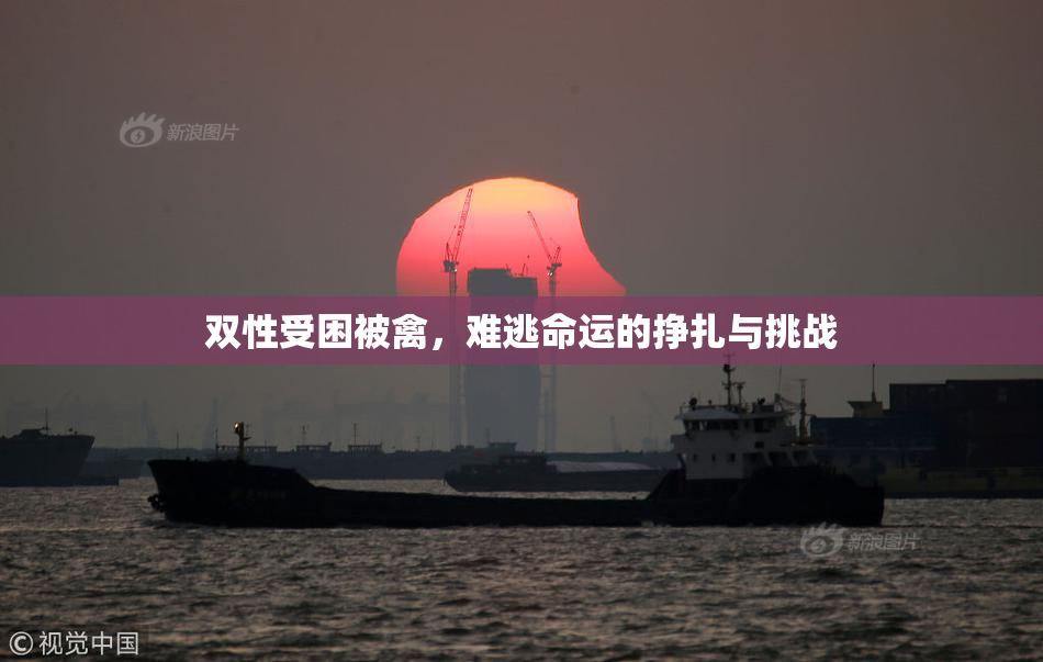双性受困被禽，难逃命运的挣扎与挑战