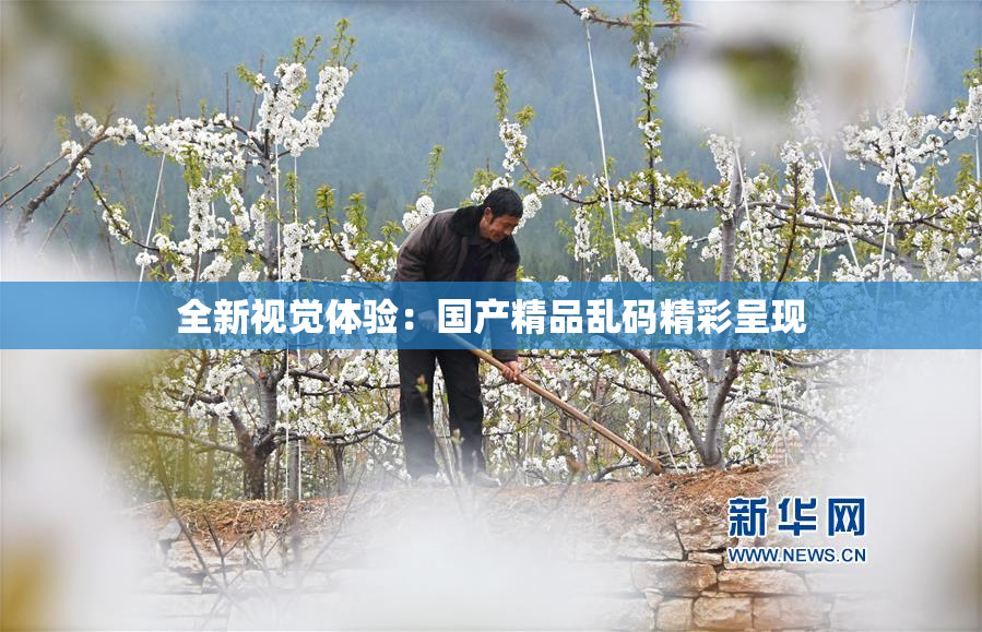 全新视觉体验：国产精品乱码精彩呈现
