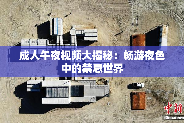 成人午夜视频大揭秘：畅游夜色中的禁忌世界