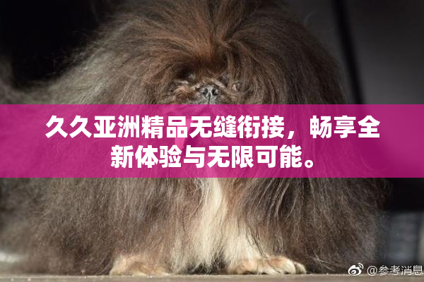 久久亚洲精品无缝衔接，畅享全新体验与无限可能。