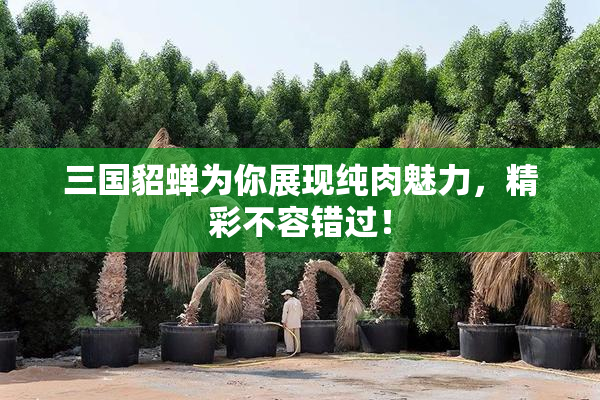 三国貂蝉为你展现纯肉魅力，精彩不容错过！