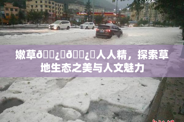嫩草🌿‌🌿‌人人精，探索草地生态之美与人文魅力