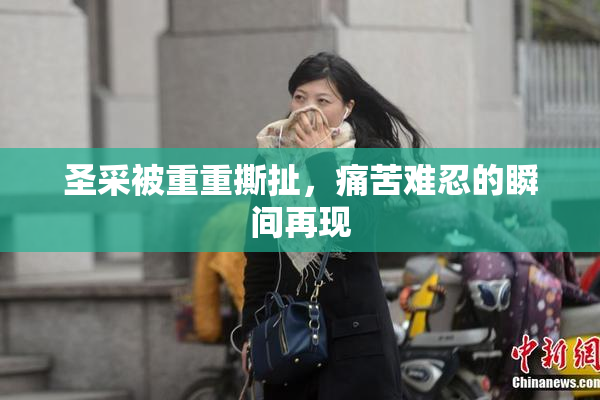 圣采被重重撕扯，痛苦难忍的瞬间再现