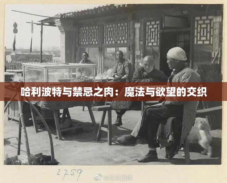哈利波特与禁忌之肉：魔法与欲望的交织