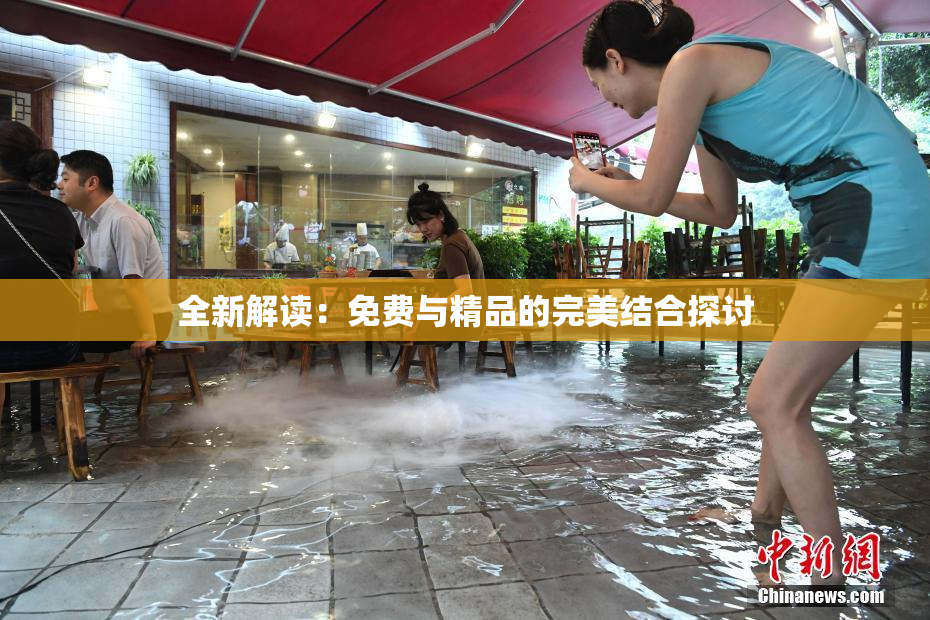 全新解读：免费与精品的完美结合探讨