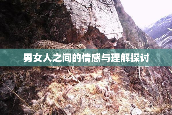 男女人之间的情感与理解探讨