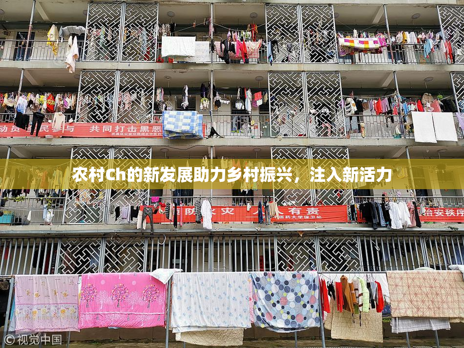 农村Ch的新发展助力乡村振兴，注入新活力