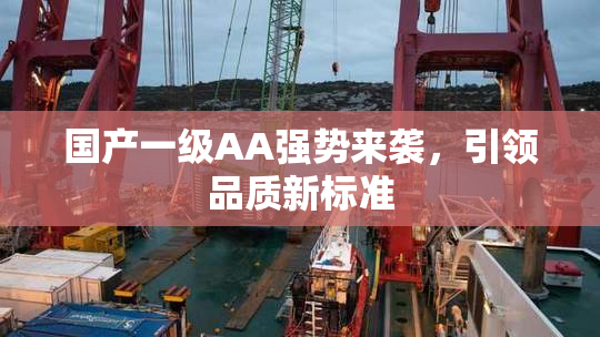 国产一级AA强势来袭，引领品质新标准