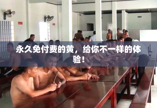 永久免付费的黄，给你不一样的体验！