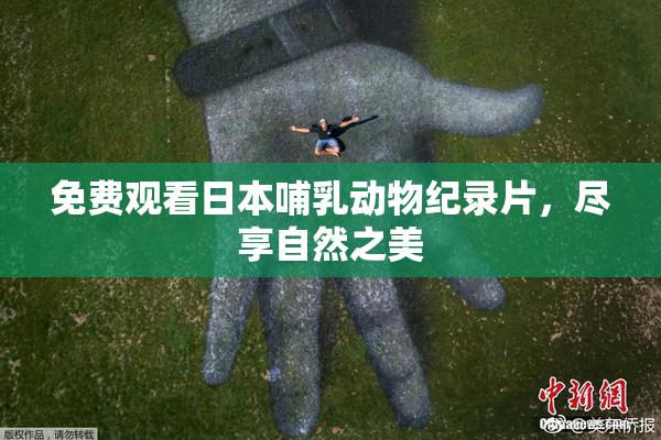 免费观看日本哺乳动物纪录片，尽享自然之美