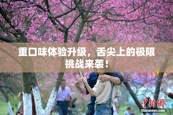 重口味体验升级，舌尖上的极限挑战来袭！