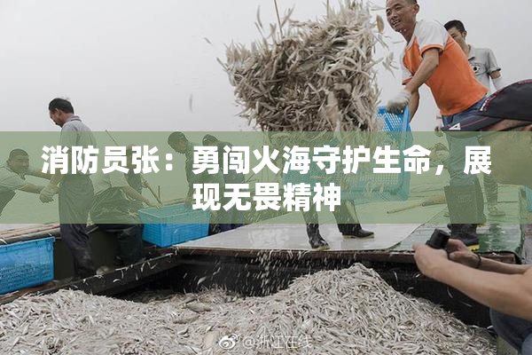 消防员张：勇闯火海守护生命，展现无畏精神