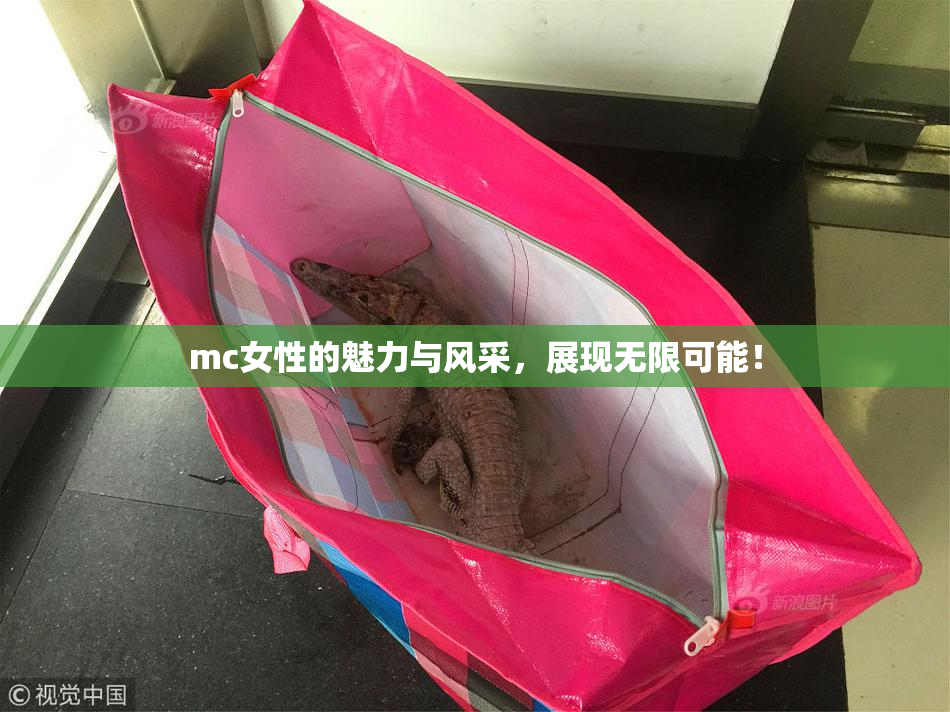 mc女性的魅力与风采，展现无限可能！