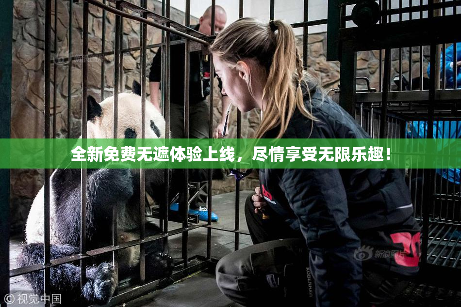 全新免费无遮体验上线，尽情享受无限乐趣！
