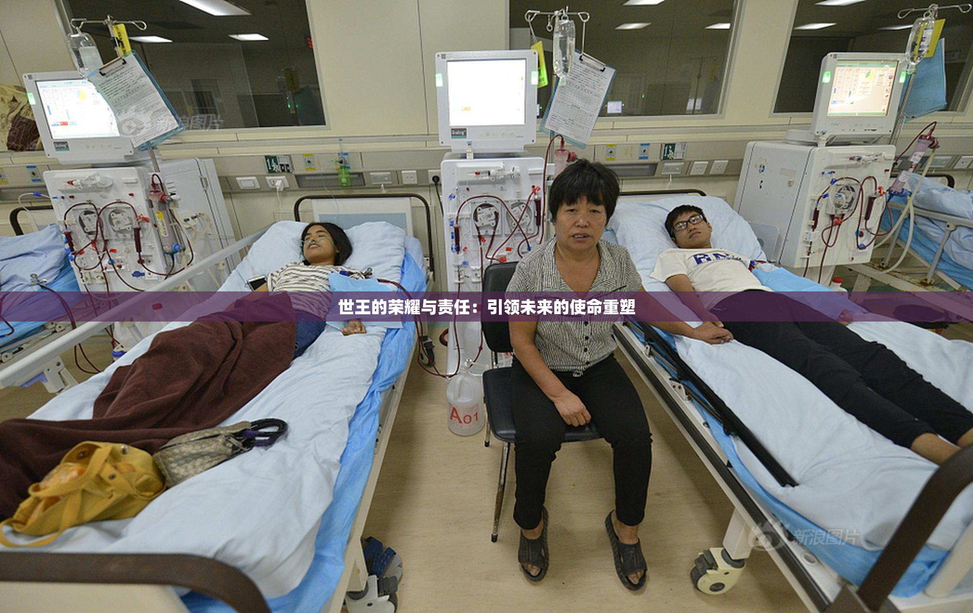 世王的荣耀与责任：引领未来的使命重塑