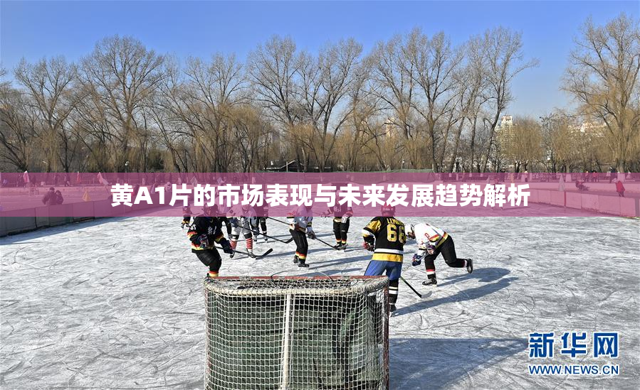 黄A1片的市场表现与未来发展趋势解析