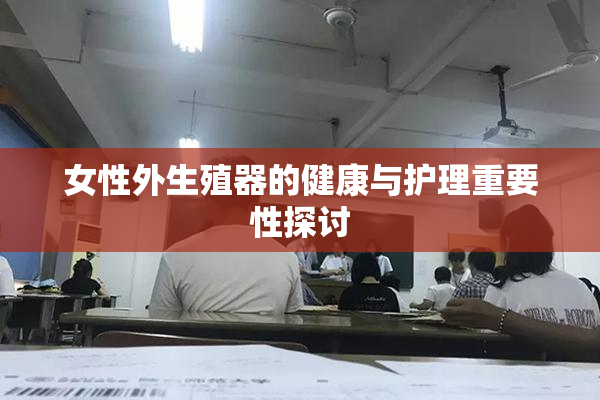 女性外生殖器的健康与护理重要性探讨
