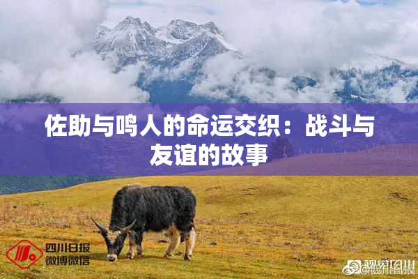 佐助与鸣人的命运交织：战斗与友谊的故事